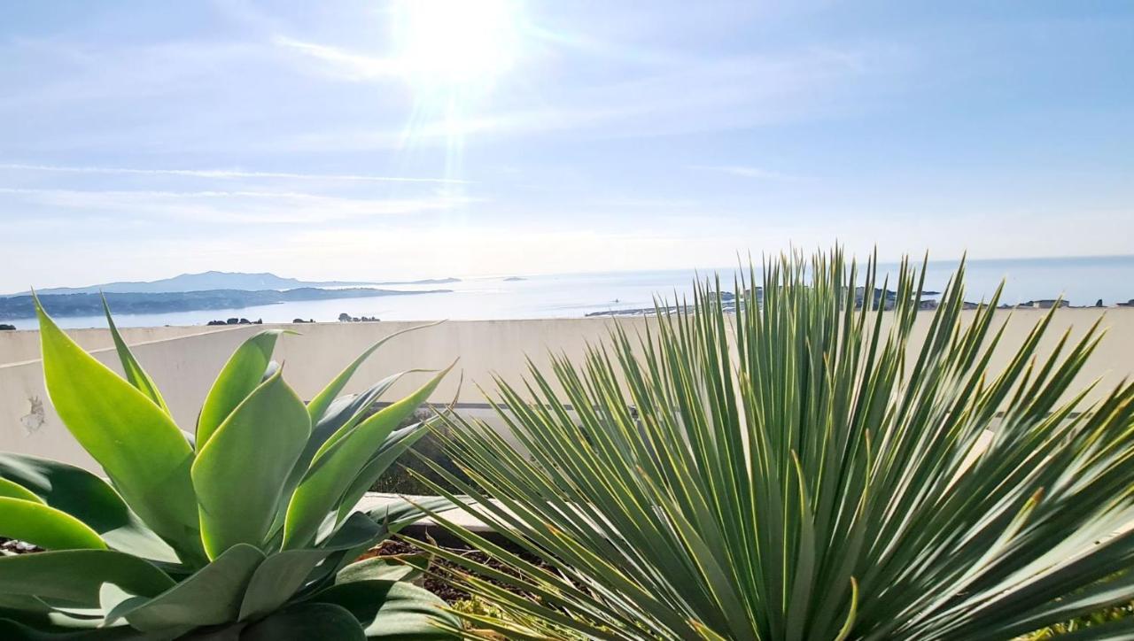 Vue Panoramique - Grande Terrasse Et Piscine * Bandol