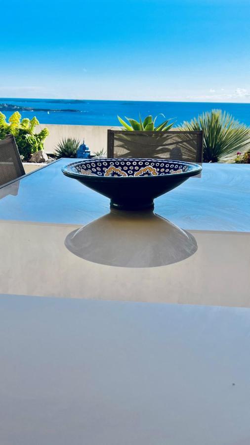 Vue Panoramique - Grande Terrasse Et Piscine Bandol